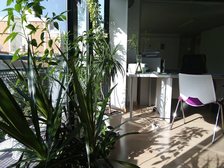 SANA-Centre-de-Psicologia